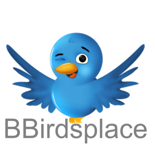 Bbirdsplace